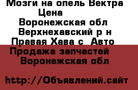 Мозги на опель Вектра › Цена ­ 2 500 - Воронежская обл., Верхнехавский р-н, Правая Хава с. Авто » Продажа запчастей   . Воронежская обл.